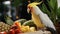 Exploring Cockatiel\\\'s Dietary Habits And Feeding Behavior In The Wild With Canon M50