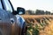 Exploring country side in summer morning wheat field with Renault Duster