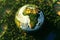 Exploring Earth\\\'s Beauty: Vibrant Earth Globe Illustration