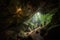 exploring hidden caverns and dense jungle with guide or tour group