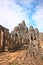 Exploring Historical ruins of Cambodia