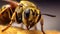 Exploring the Macro Universe: Unveiling the Wondrous World of a Wasp