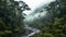 Exploring Nature\\\'s Wonderland: Lush Rainforest and Foggy Rainforest River Pathway, Generative AI