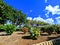 Exploring the Rich History of Queen Kapiolani Garden and Park on Oahu