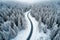 Exploring the Serene Curves of Winter Roads from Above. AI Generative