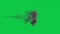 Explosion with Fire and Smoke Column Green Screen Graphic Element