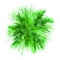 Explosion of green powder on white background