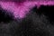 Explosion metallic pink black glitter sparkle. Choky Glitter powder spark blink celebrate, blur foil explode in air, fly throw