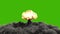 The explosion of a nuclear bomb. Realistic 3D of atomic bomb explosion with fire, smoke and mushroom cloud in front of a