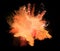 Explosion of orange powder on black background