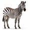 Explosive Pigmentation: A Photo-realistic Zebra In 8k Resolution