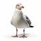 Explosive Pigmentation: A White Gull In 8k Resolution