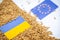 Export of Ukrainian grain concept. Flags of Ukraine and the European Union with grain