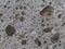 Exposed aggregate concrete