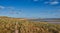 Exposed estuarine mud flats at low tide