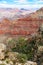 Exposed layers of geologial strata in the Grand Canyon with mesas in the background and rocks and a pine tree in the foreground