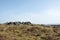 Exposed stones at the top of a cairn known as the millers grave on midgley moor in calderdale west yorkshire