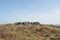 Exposed stones at the top of a cairn known as the millers grave on midgley moor in calderdale west yorkshire