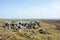 Exposed stones at the top of a cairn known as the millers grave on midgley moor in calderdale west yorkshire with surrounding