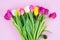 Express your feeling and good mood by giving nice bouquet of vibrant flowers concept. Top above view photo of nice tulips isolated