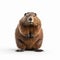 Expressive 3d Render Of A Beaver In The Style Of David Yarrow