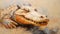 Expressive Crocodile: Impasto Oil Painting On Beige Background