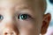 Expressive look of a small child. Baby\\\'s eye close-up. Gray green iris