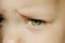 Expressive look of a small child. Baby\'s eye close-up. Gray green iris