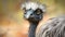 Expressive Ostrich: A Captivating Emu In Muted Colors