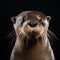 Expressive Otter: Playful Studio Shot On Isolated Background