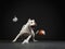 Expressive pit bull terrier catches the ball. Active dog in the studio, action.