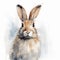 Expressive Rabbit Sketch On White Background