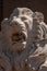 An expressive sculpture of a lion's head made of white stone. Close-up