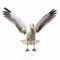 Expressive Seagull: Dynamic And Exaggerated Bird Hunting On White Background