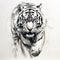 Expressive Tiger Sketch On White Background