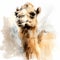 Expressive Watercolor Illustration Of A Textured Camel