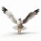Expressive White Seagull In Flight - 3d Render On White Background
