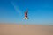 Expressive young woman jumps on the desert