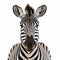 Expressive Zebra Photo On White Background By Akos Major