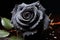 Exquisite black rose, glistening with water droplets on dark backdrop