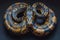 Exquisite Blue and Gold Python Coiled on Dark Background Majestic Serpent with Intricate Patterns in Natural Pose