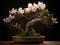 An exquisite bonsai magnolia tree, extremely detailed perfect flowers with plush waxy petals, Generative AI