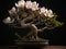 An exquisite bonsai magnolia tree, extremely detailed perfect flowers with plush waxy petals, growing in a kintsugi bowl,