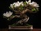 An exquisite bonsai magnolia tree, extremely detailed perfect flowers with plush waxy petals, growing in a kintsugi bowl,