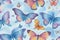 Exquisite Butterflies for HD Wallpaper, Zoom Backgrounds, and PowerPoint