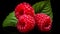Exquisite Craftsmanship: A Stunning Image Of Three Raspberries On A Black Background