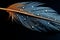 Exquisite feather with water drops, close up on a black background