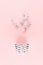 Exquisite gentle background with silver twigs and bowl on pastel pink backdrop, top view.