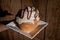 Exquisite glazed cinnamon roll on a white plate held by a hand with a wooden wall base