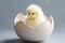 Exquisite illustration showcasing the joyous moment of a small chick hatching from its egg